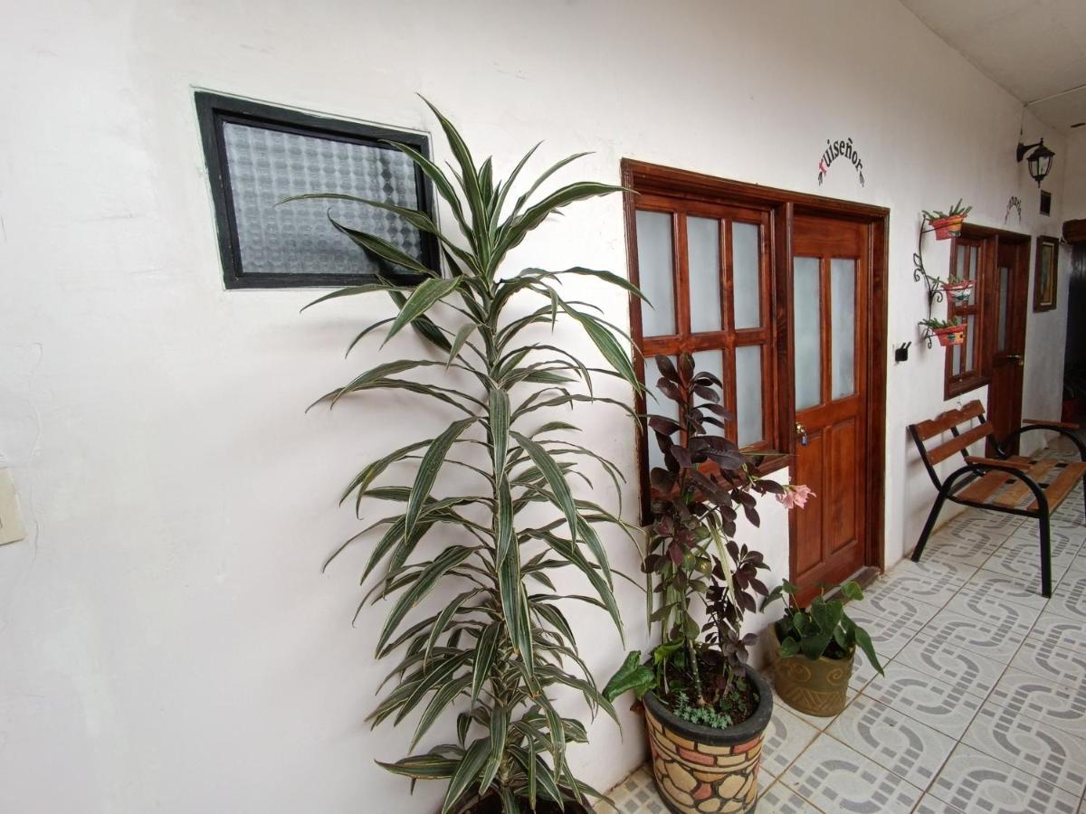 Casa Petirrojo - Habitaciones En Pátzcuaro Екстериор снимка